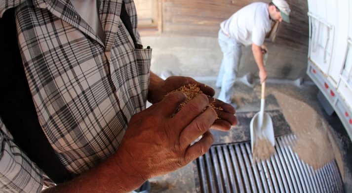 Dry Fly Distilling