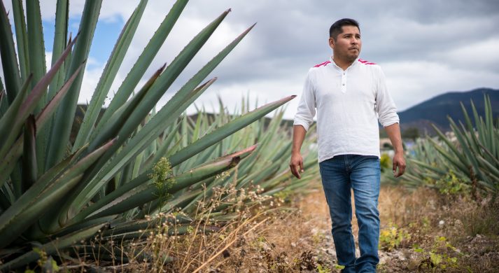 Cuentacuentos Mezcal
