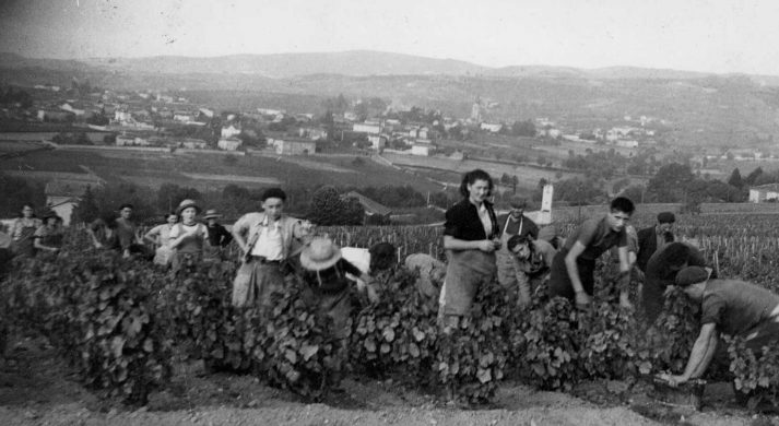 Domaine des Grands Fers