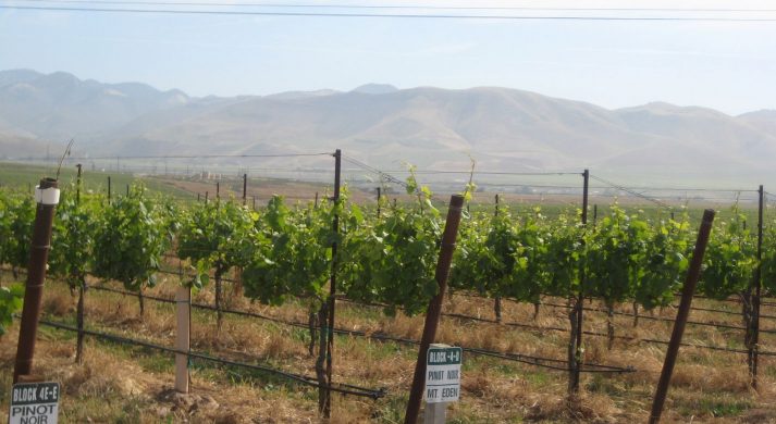 Dierberg Wines