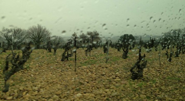 Domaine de L'Harmas