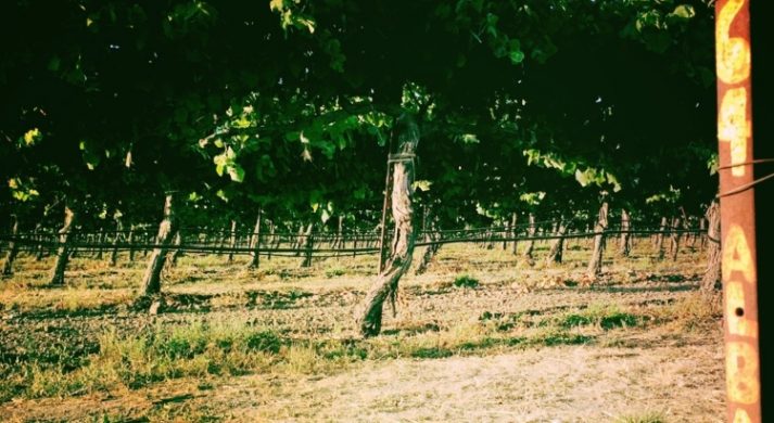 Keep Wines