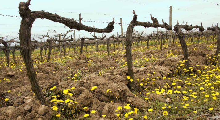 Domaine du Murinais