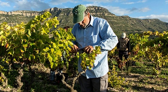 SiurAlta & InStabile / VinsNus by Alfredo Arribas