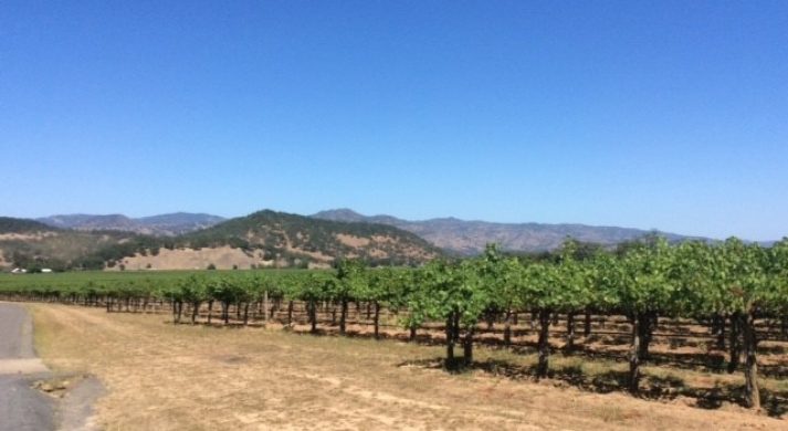 Vine Hill Ranch