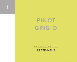 Erste + Neue Pinot Grigio DOC 2016