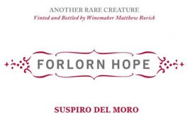 forlorn hope rules pdf